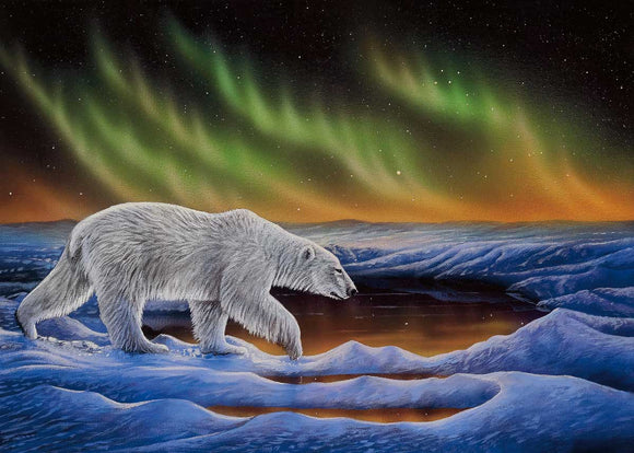 magnet Polar Night by Ronnie Simon