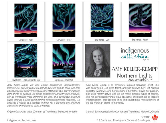 Amy Keller-Rempp Northern Lights Boxed Note Cards