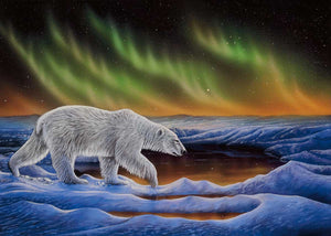 magnet Polar Night by Ronnie Simon