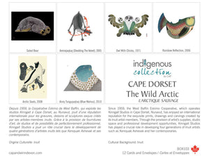 Cape Dorset The Wild Arctic Boxed Note Cards