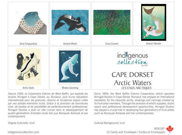 Cape Dorset Arctic Waters Designs Boxed Note Cards