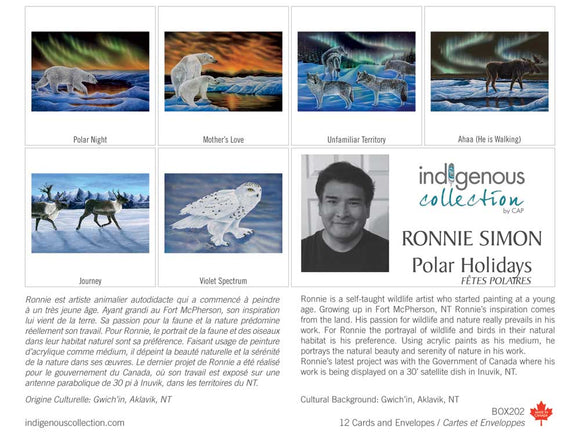 Polar Holidays boxed note set by artist Ronnie Simon
