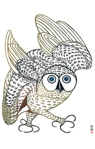 Summer Owl Gift Enclosures